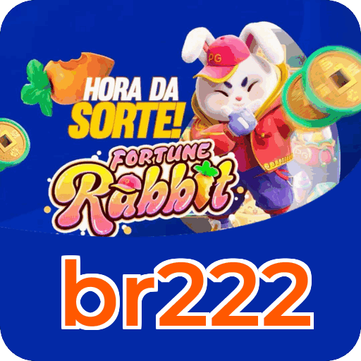 Comparação APP mobile vs versão web da br222